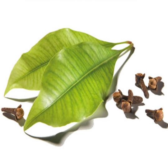Clove Leaf (Rectified) Essential Oil
