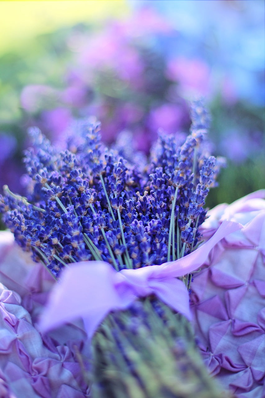 lavender, fresh, flowers-2482375.jpg