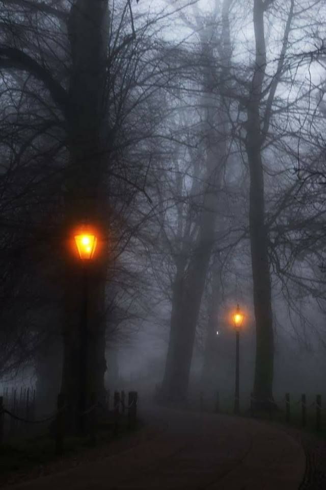 Dark & Mysterious