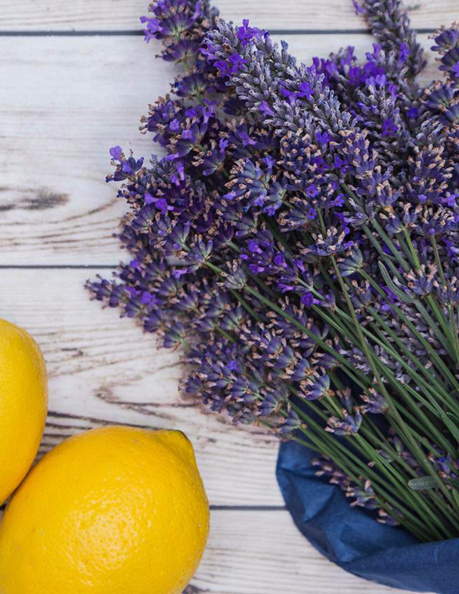 Lemon Lavender