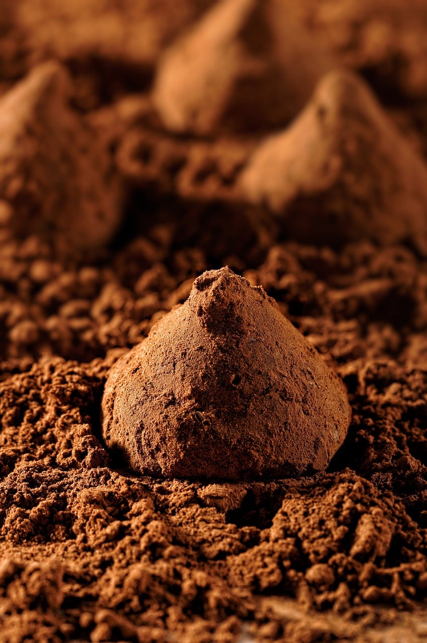 truffles, cocoa, chocolate-6636081.jpg